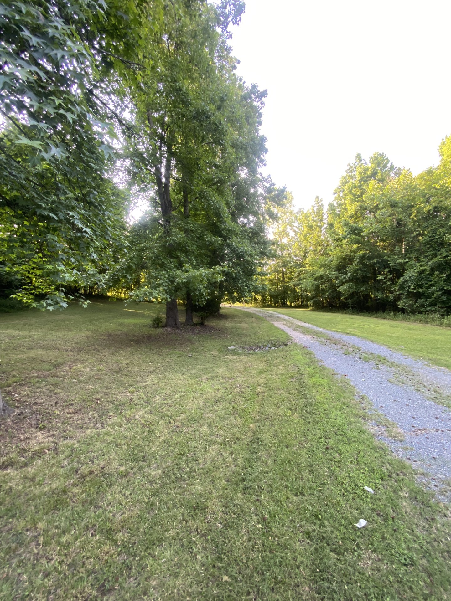 Yard before