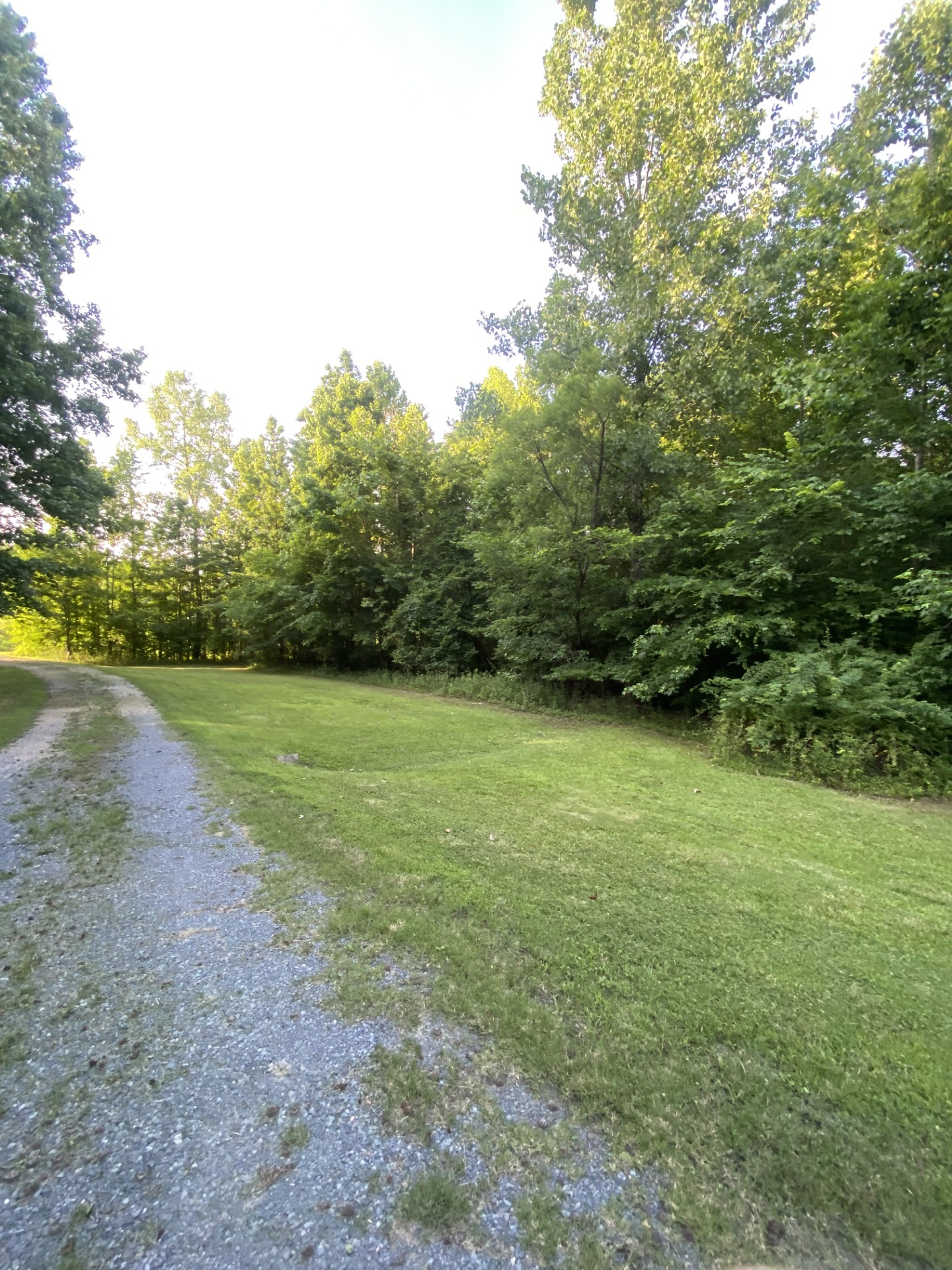 Yard after