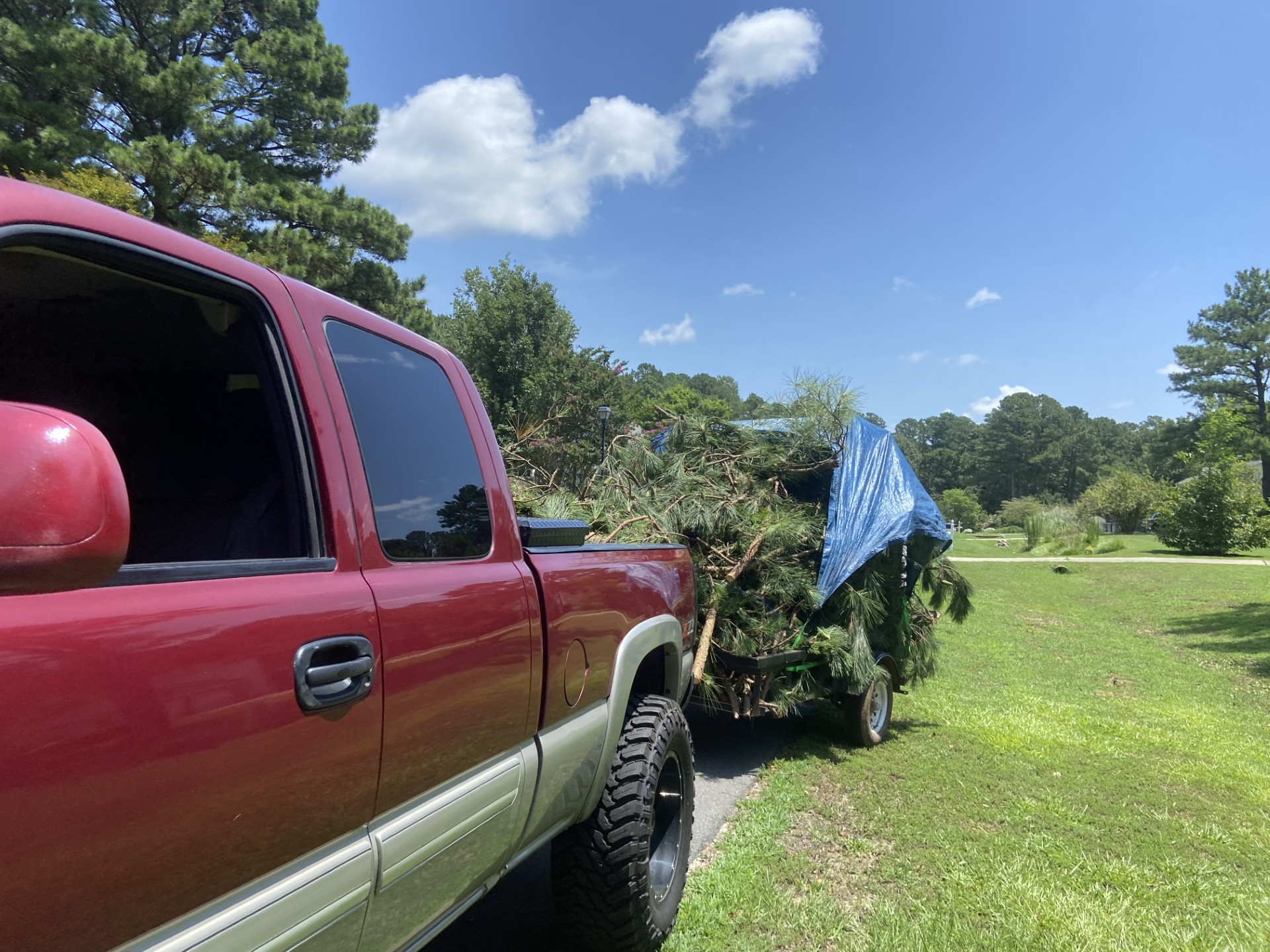 Yard after cleanup